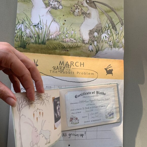 Award winning picture book The Rabbit Problem by Emily Gravett - Picture 6 of 10